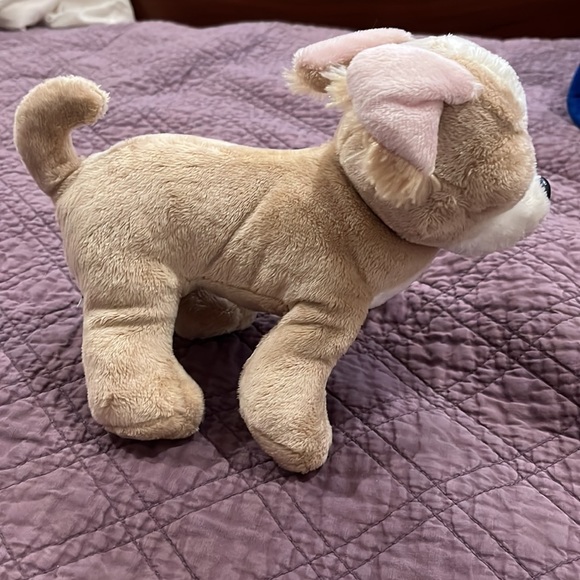 Who can resist this face?! Chihuahua by Webkinz - Picture 2 of 6